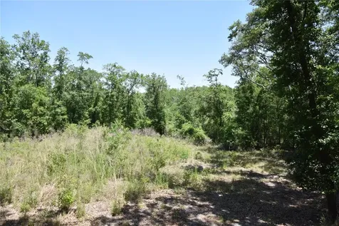 21312 NE 69th Place Melrose FL 32666