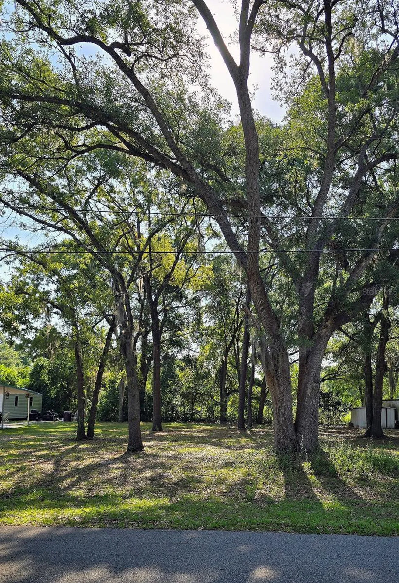16055 SE 99th Terrace Summerfield FL 34491