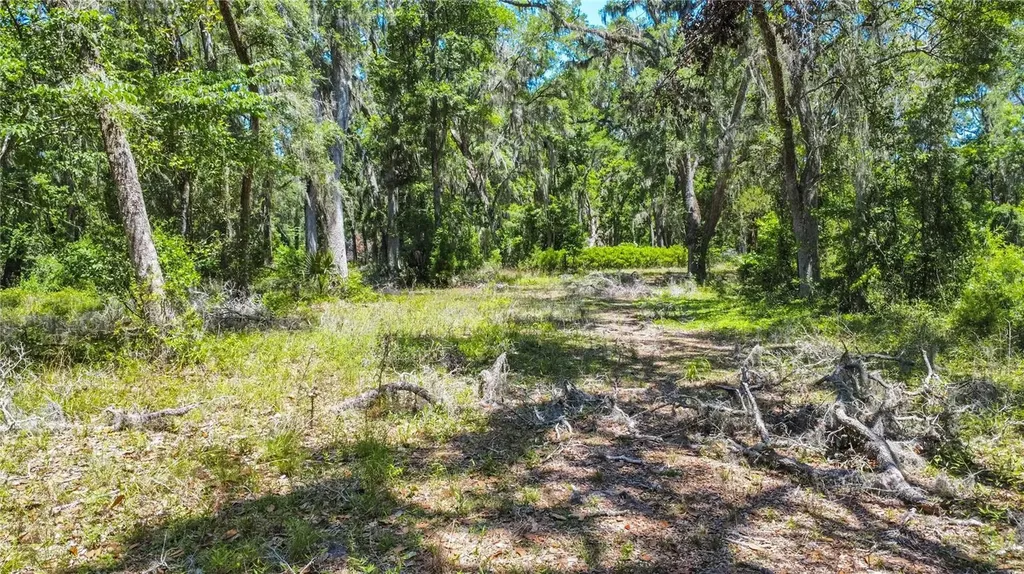 105 NE 239th Avenue Old Town FL 32680