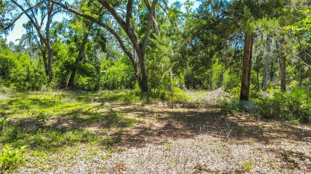 105 NE 239th Avenue Old Town FL 32680