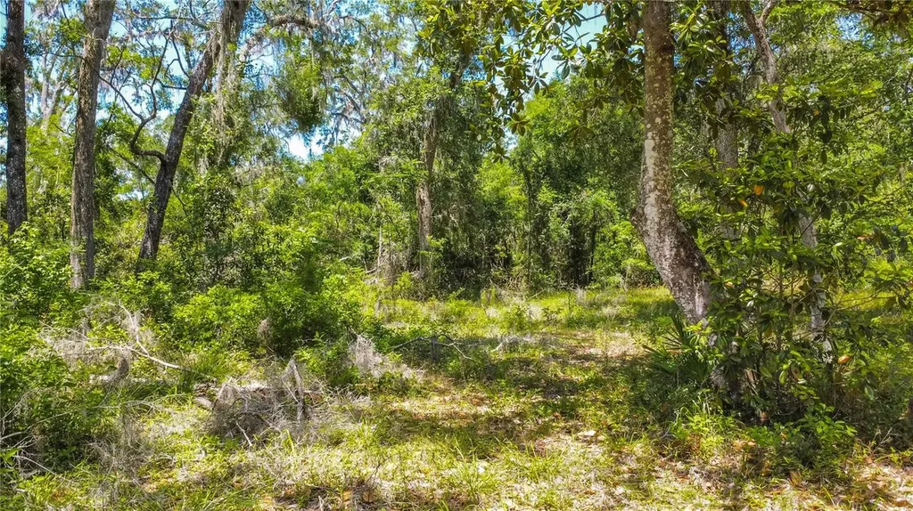 105 NE 239th Avenue Old Town FL 32680