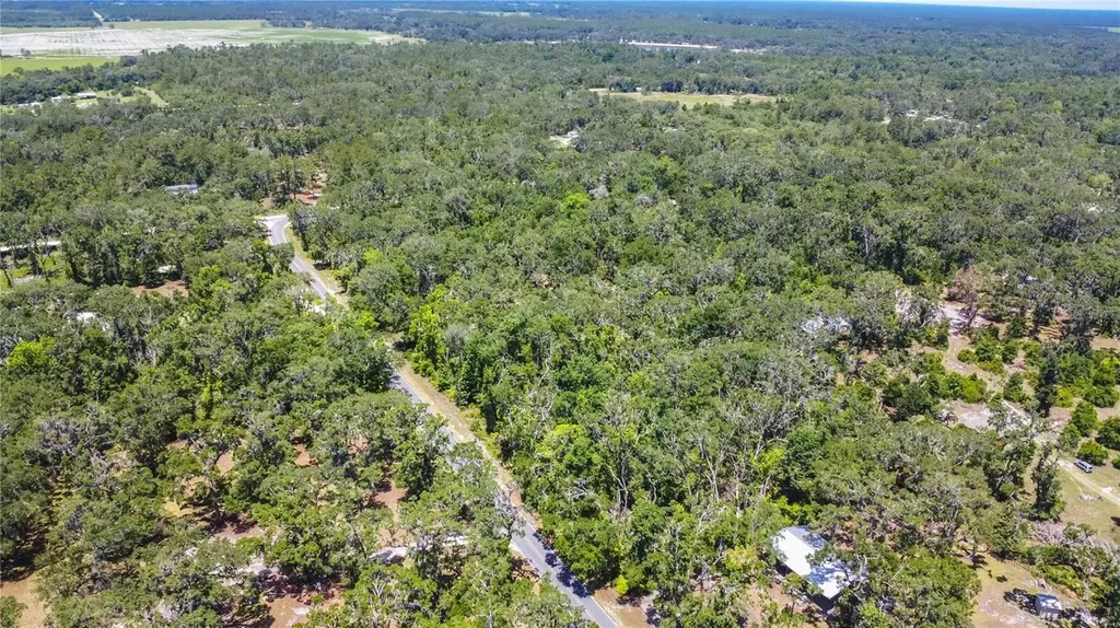 105 NE 239th Avenue Old Town FL 32680