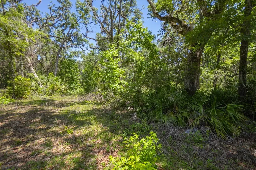 105 NE 239th Avenue Old Town FL 32680