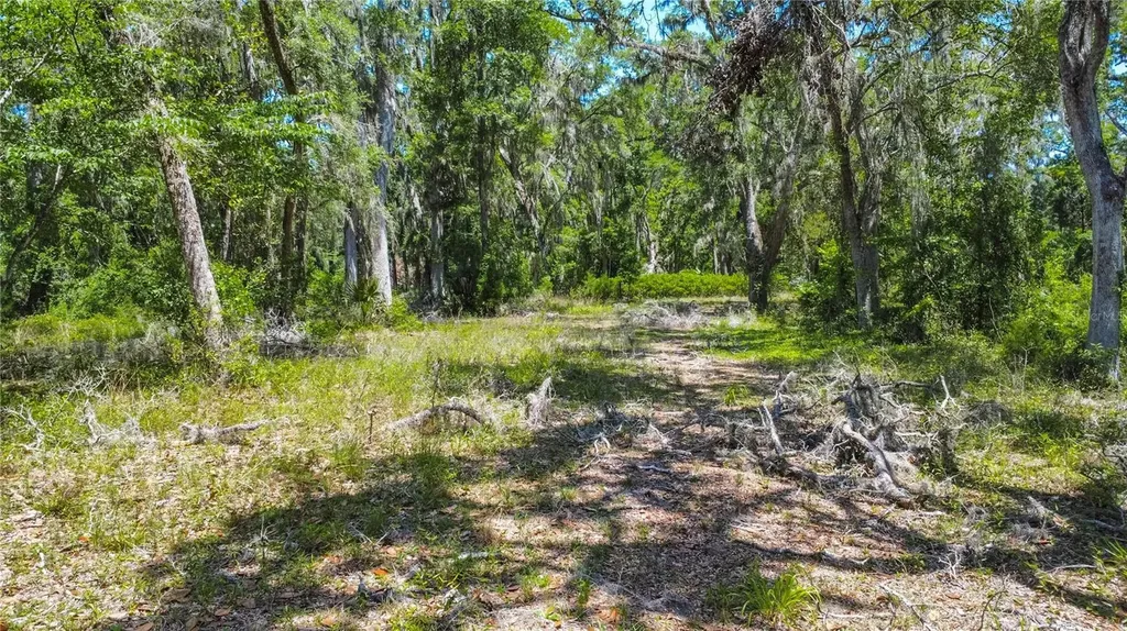 105 NE 239th Avenue Old Town FL 32680