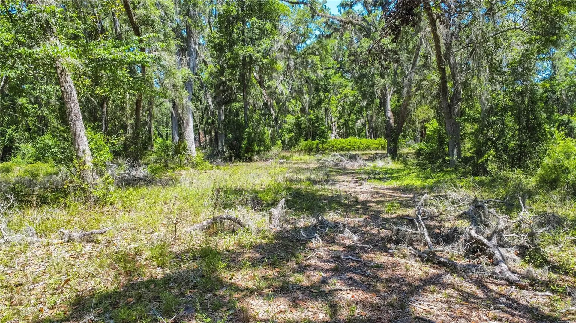 105 NE 239th Avenue Old Town FL 32680