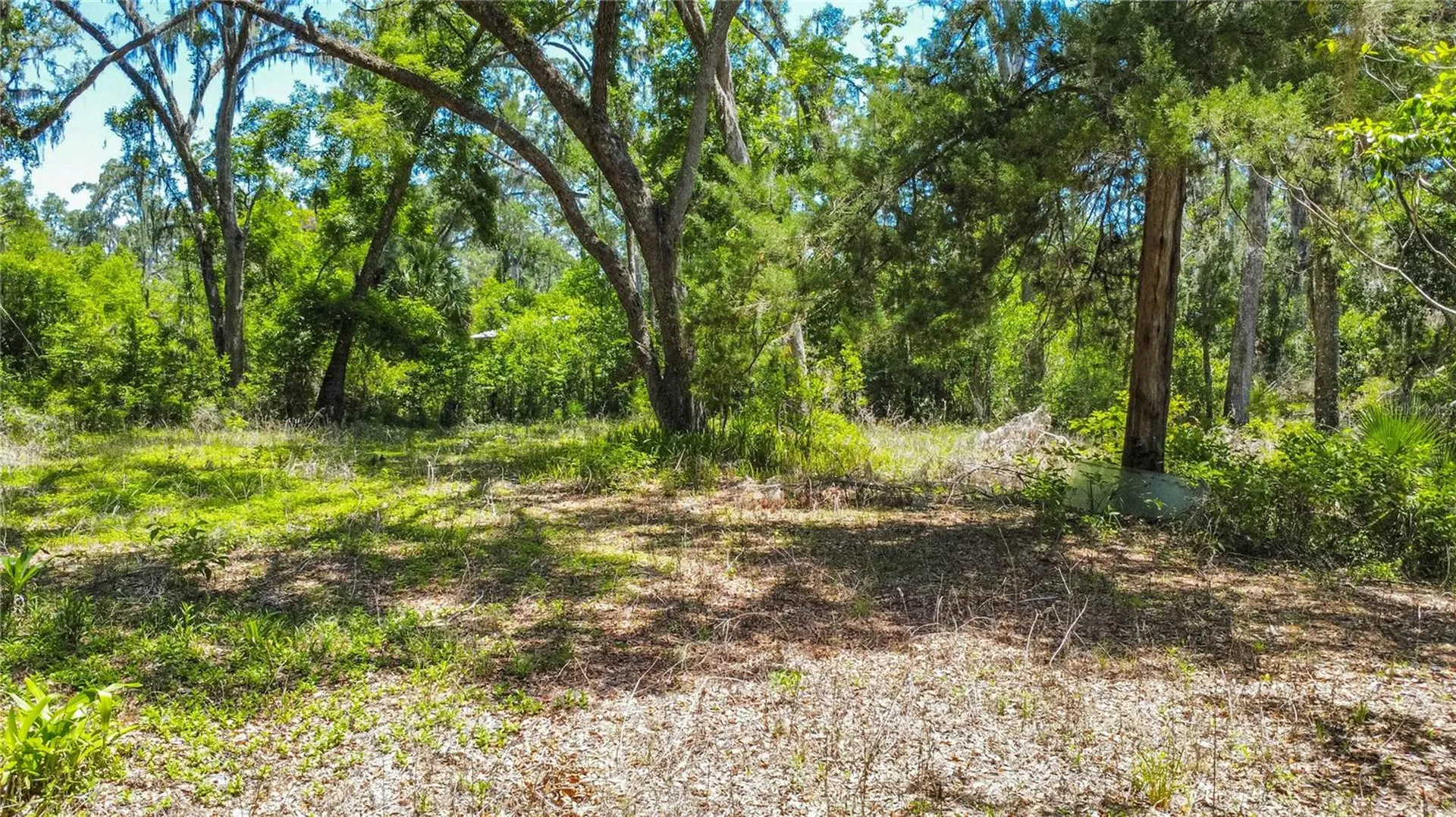 105 NE 239th Avenue Old Town FL 32680