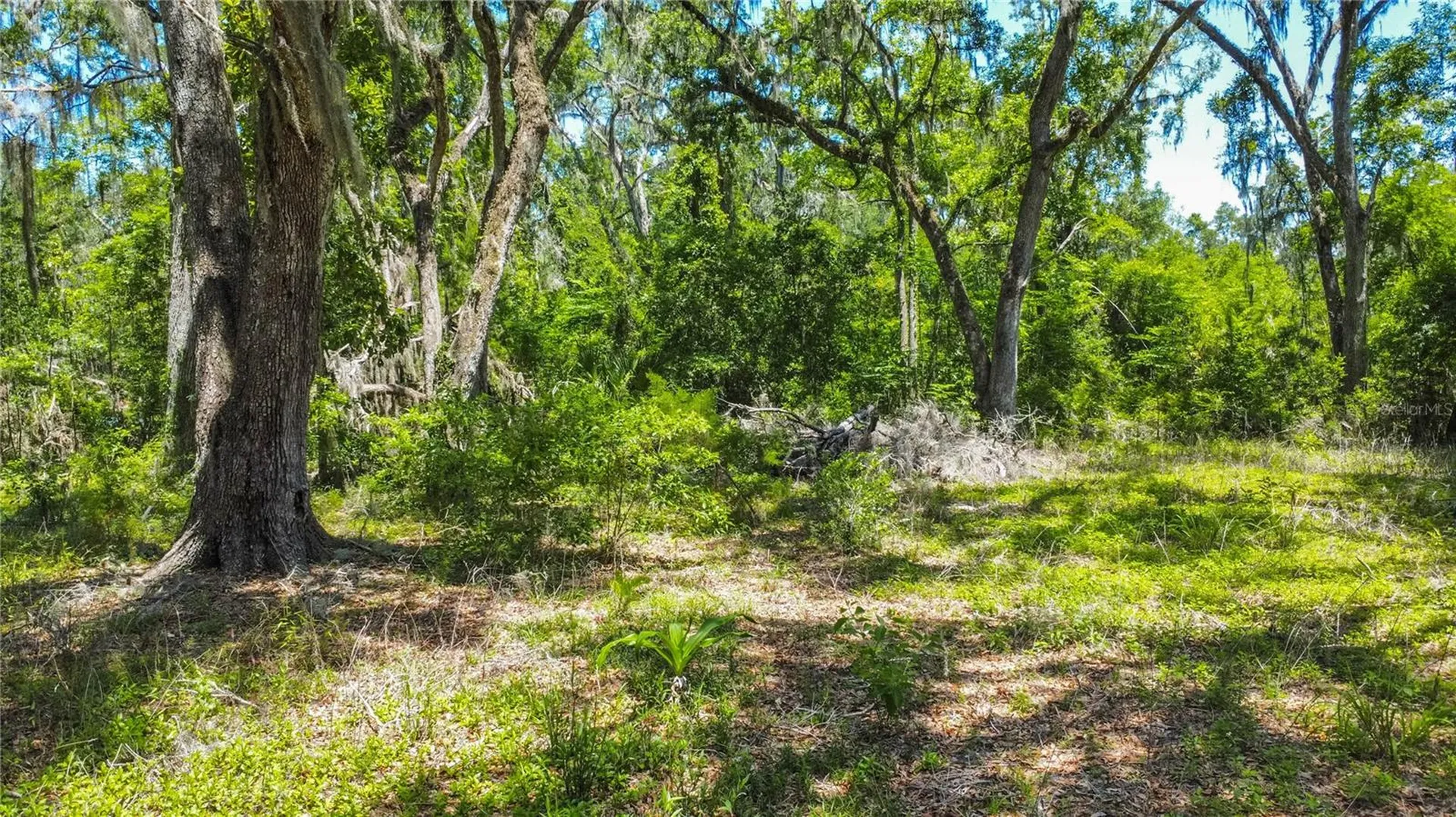 105 NE 239th Avenue Old Town FL 32680