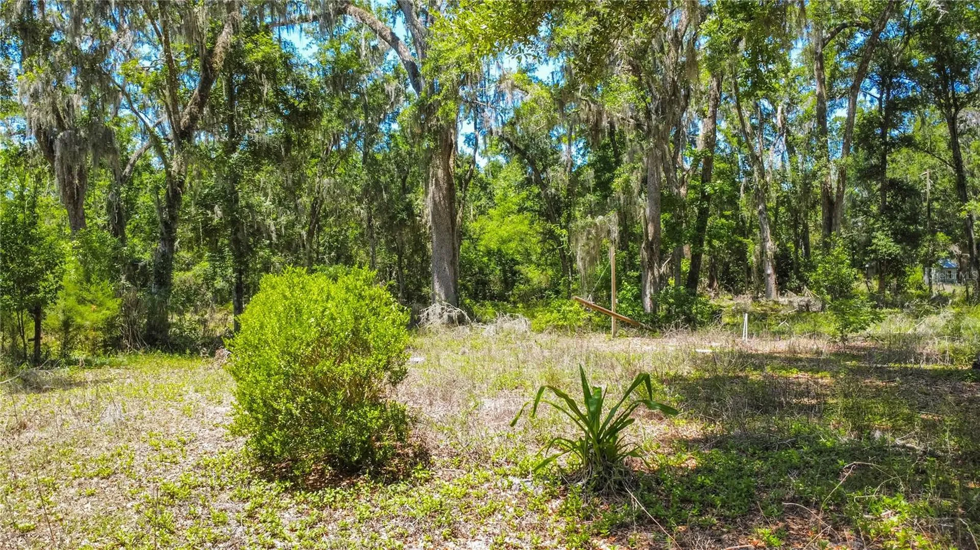 105 NE 239th Avenue Old Town FL 32680