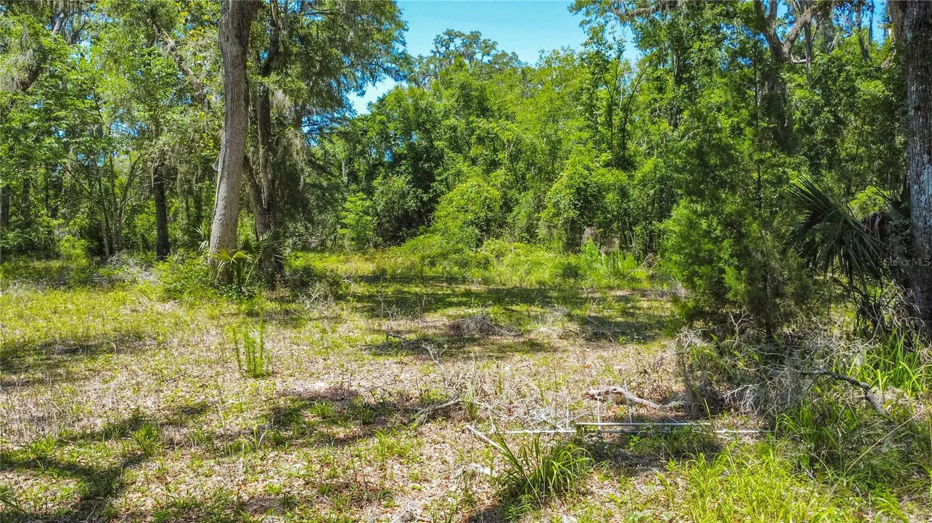 105 NE 239th Avenue Old Town FL 32680