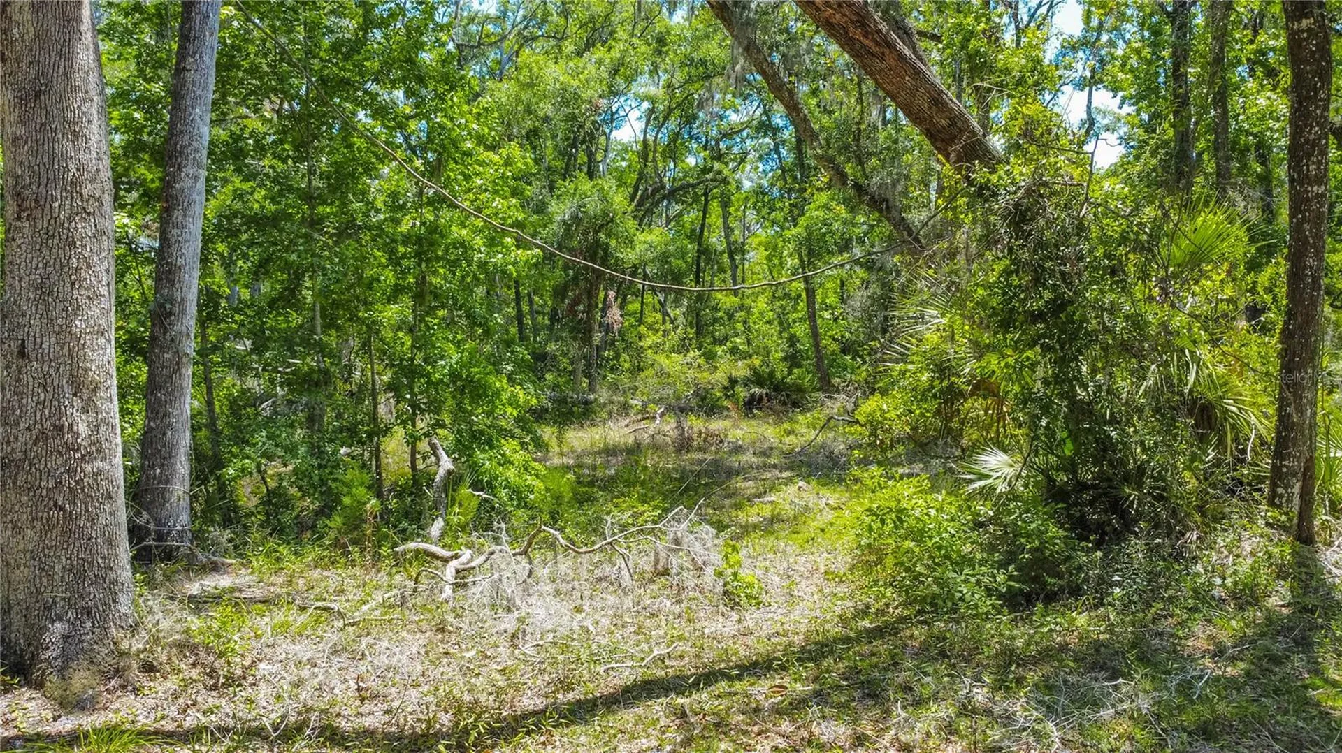 105 NE 239th Avenue Old Town FL 32680