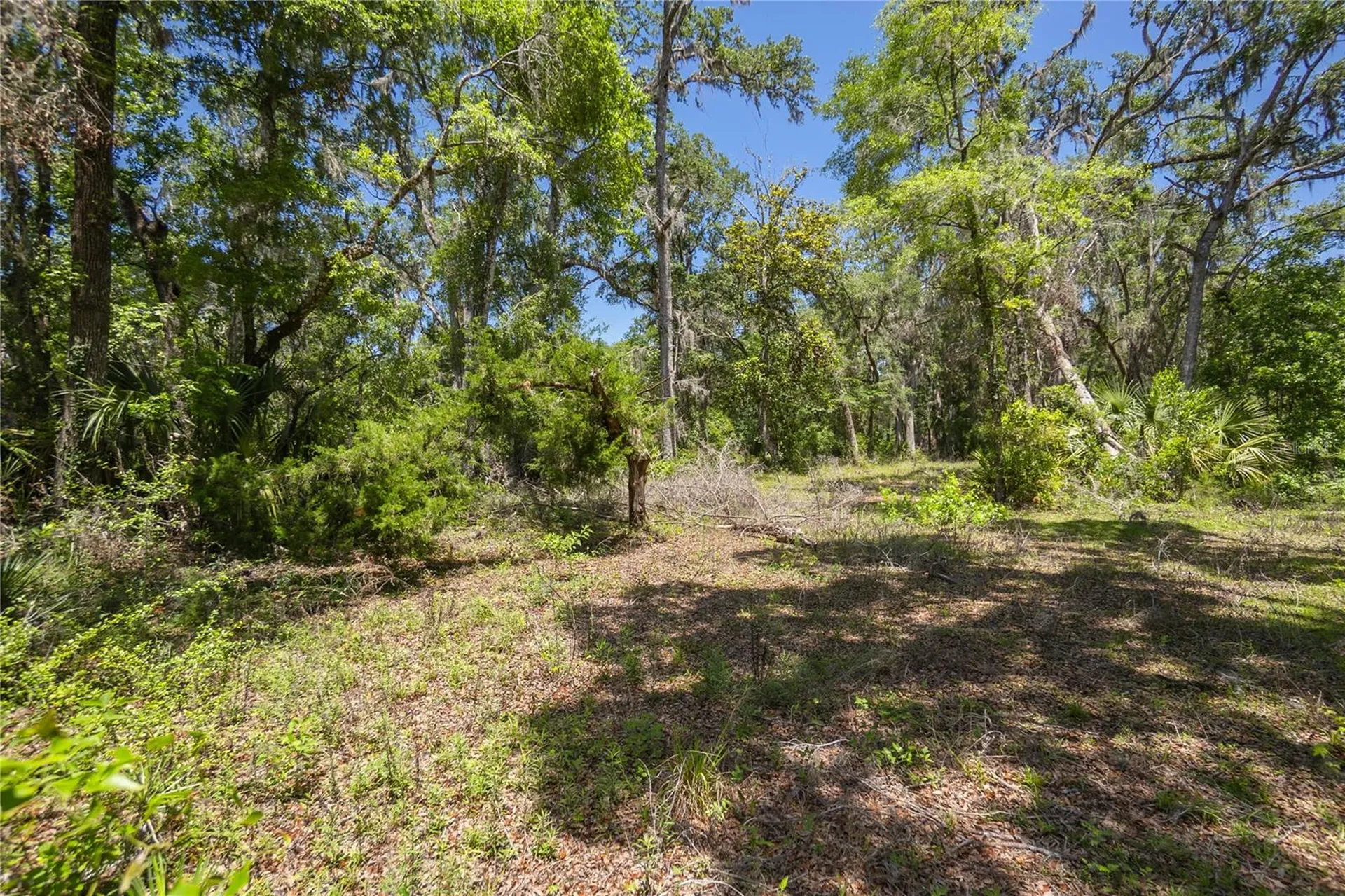 105 NE 239th Avenue Old Town FL 32680