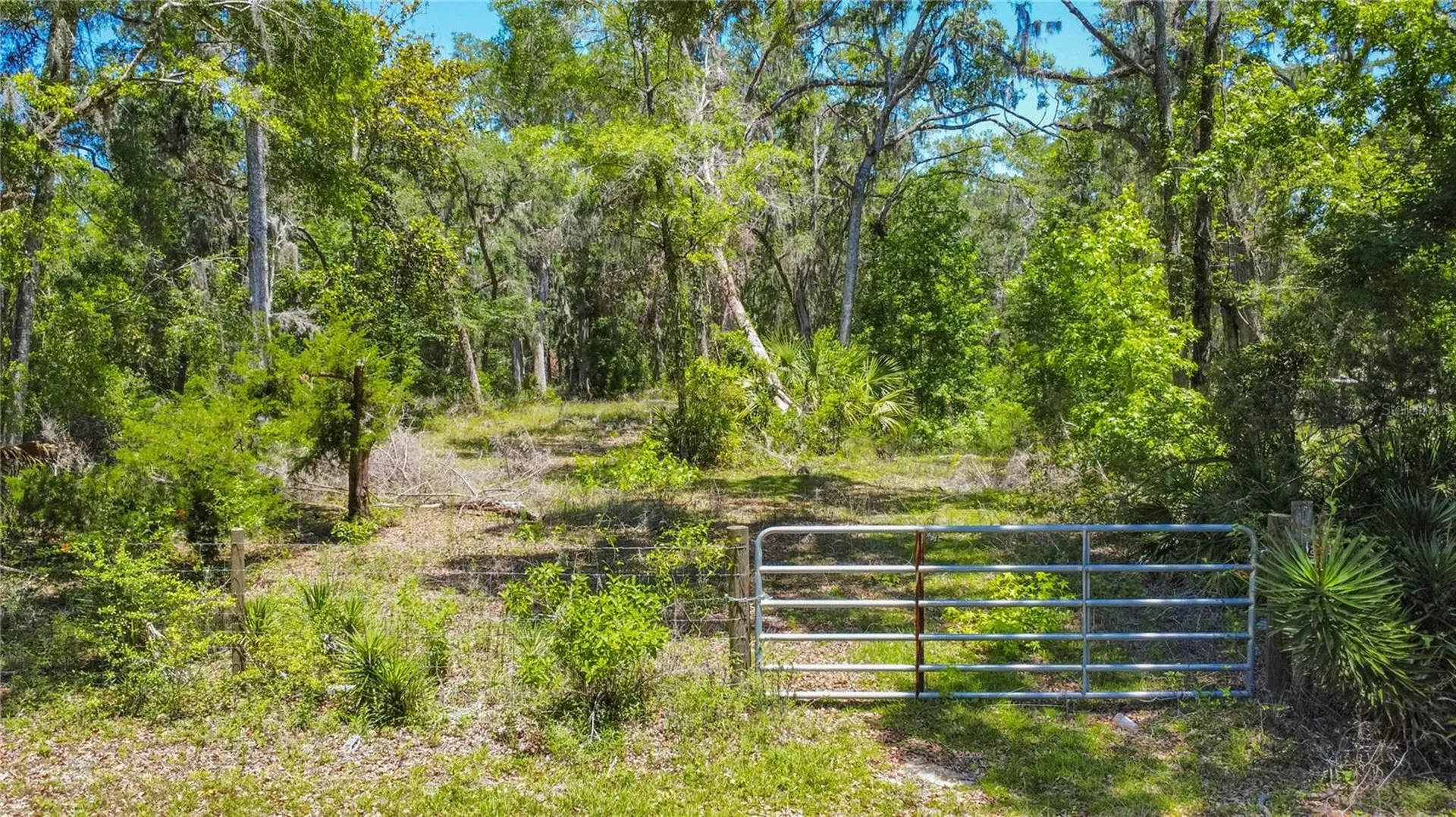 105 NE 239th Avenue Old Town FL 32680