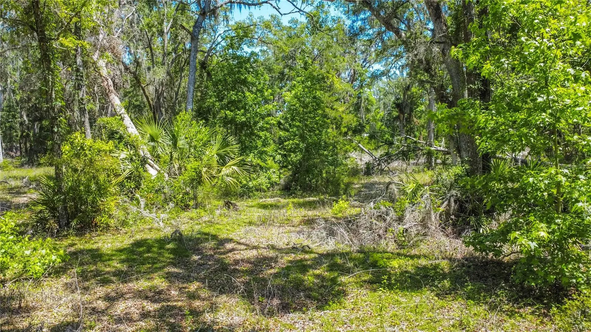 105 NE 239th Avenue Old Town FL 32680