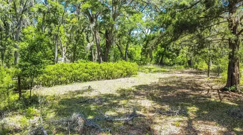 105 NE 239th Avenue Old Town FL 32680