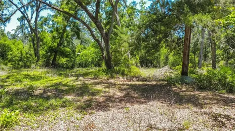 105 NE 239th Avenue Old Town FL 32680