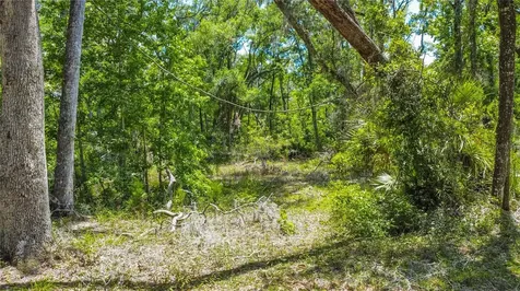 105 NE 239th Avenue Old Town FL 32680