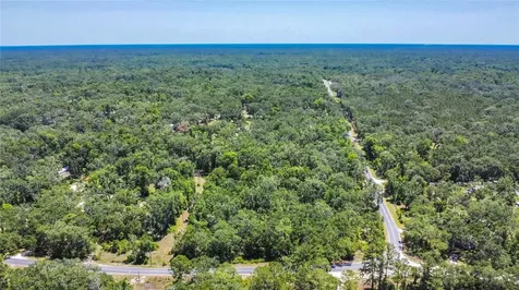 105 NE 239th Avenue Old Town FL 32680