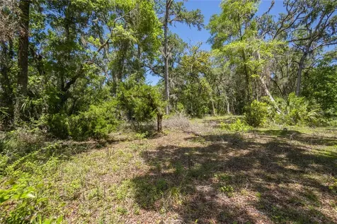 105 NE 239th Avenue Old Town FL 32680