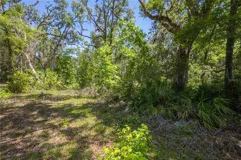 105 NE 239th Avenue Old Town FL 32680