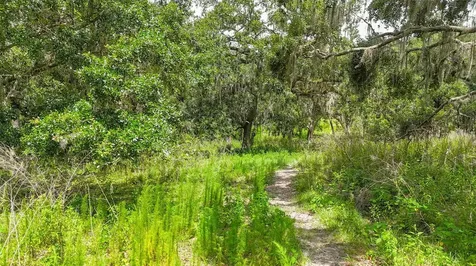 14409 Curley Road Dade City FL 33525