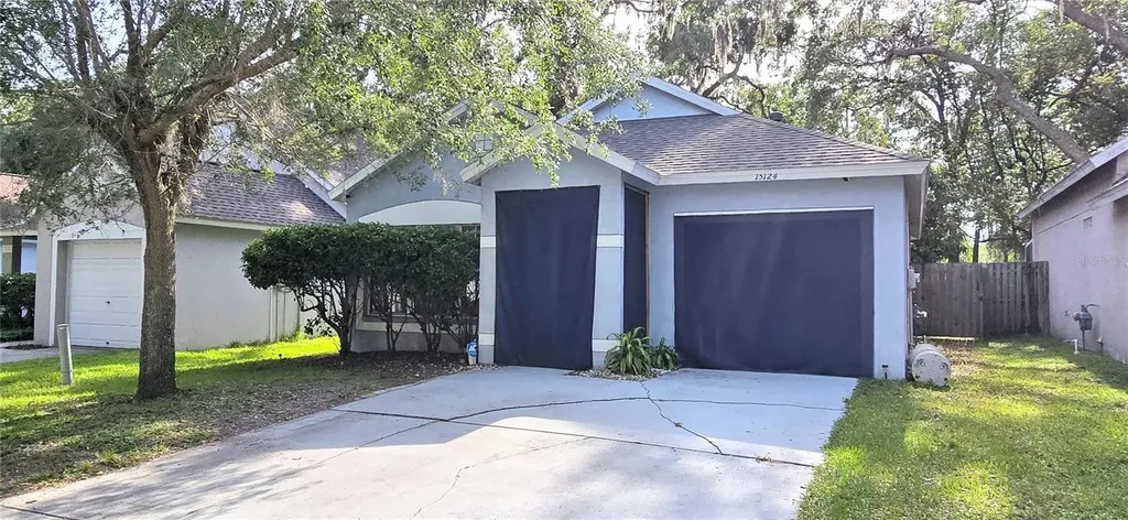 15124 Deer Meadow Drive Lutz FL 33559