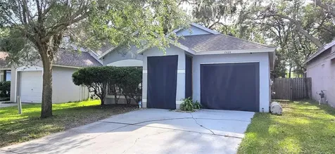 15124 Deer Meadow Drive Lutz FL 33559