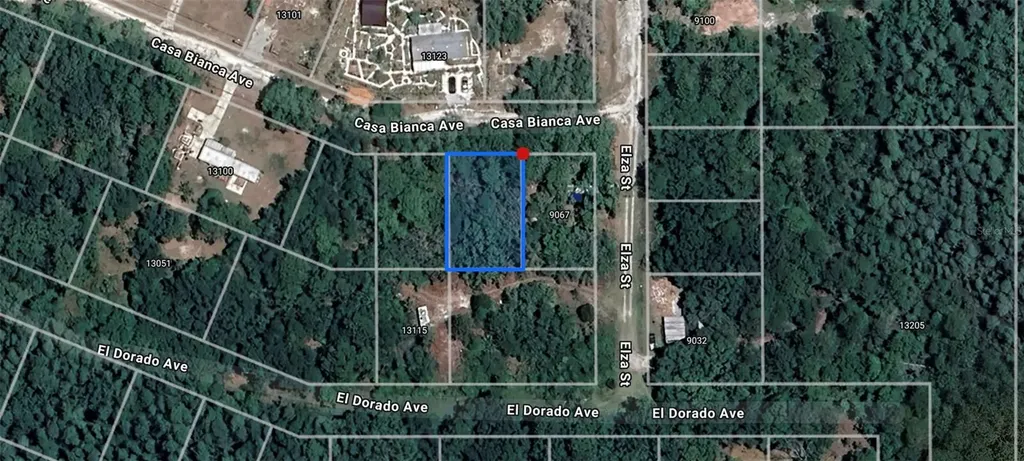 Casa Bianca Avenue New Port Richey FL 34654