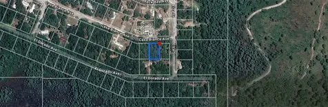Casa Bianca Avenue New Port Richey FL 34654