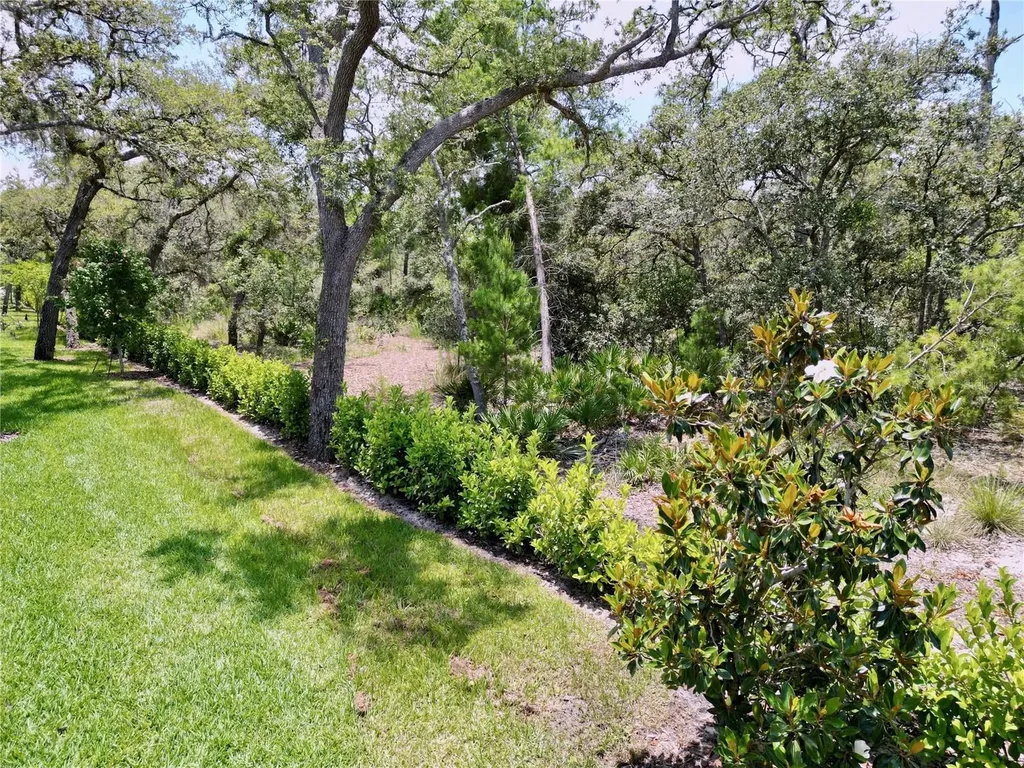 1425 Serendipity Lane Clermont FL 34714