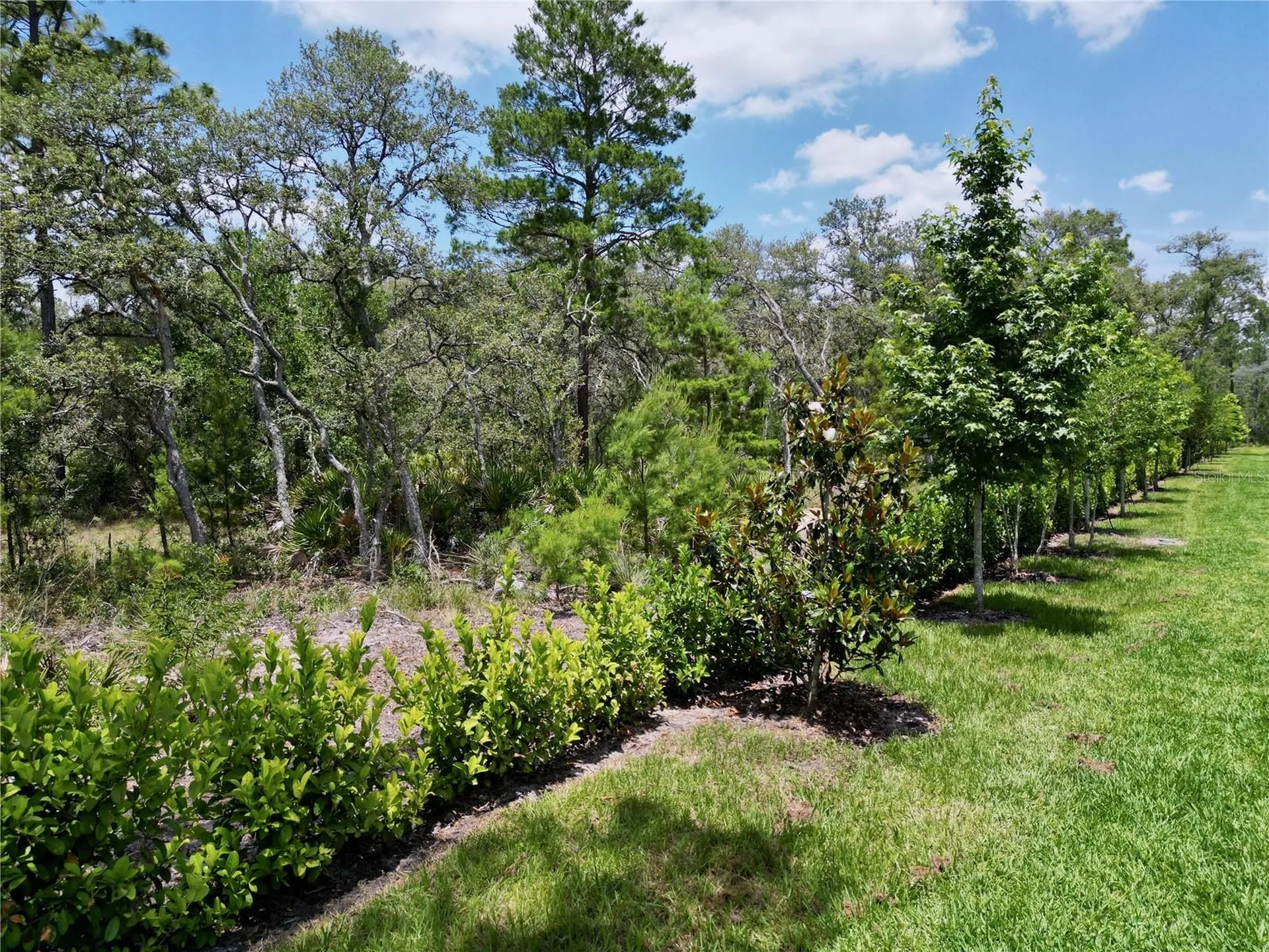 1425 Serendipity Lane Clermont FL 34714