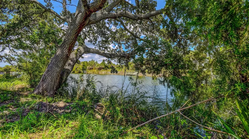 0 Sea Grape Drive Hernando Beach FL 34607