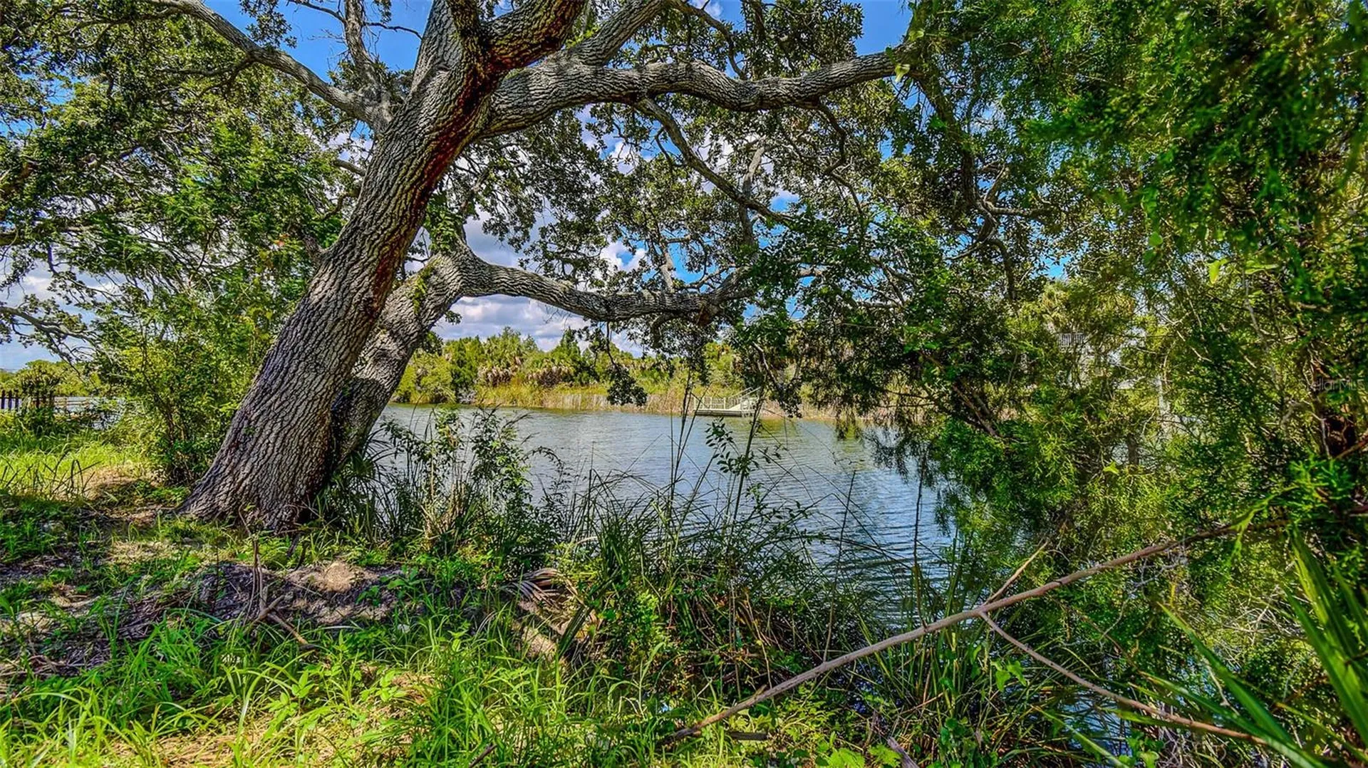 0 Sea Grape Drive Hernando Beach FL 34607