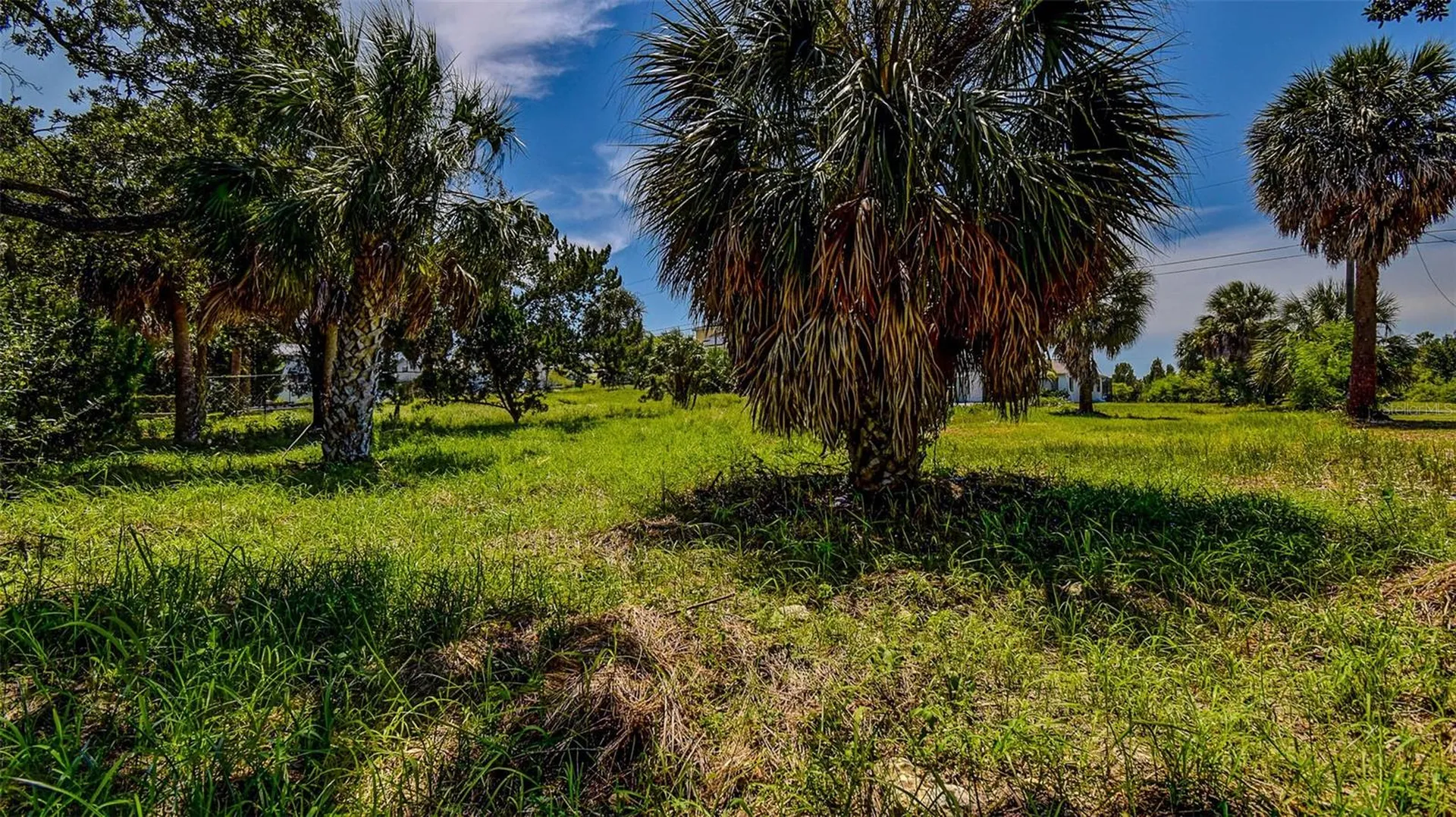 0 Sea Grape Drive Hernando Beach FL 34607