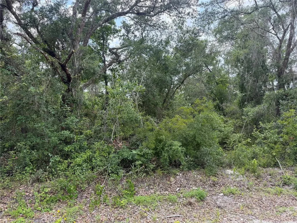 7419 Southeast Avenue Webster FL 33597