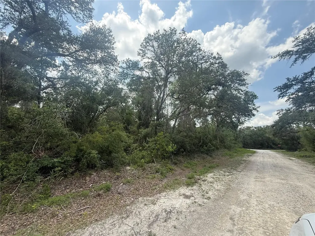 7419 Southeast Avenue Webster FL 33597