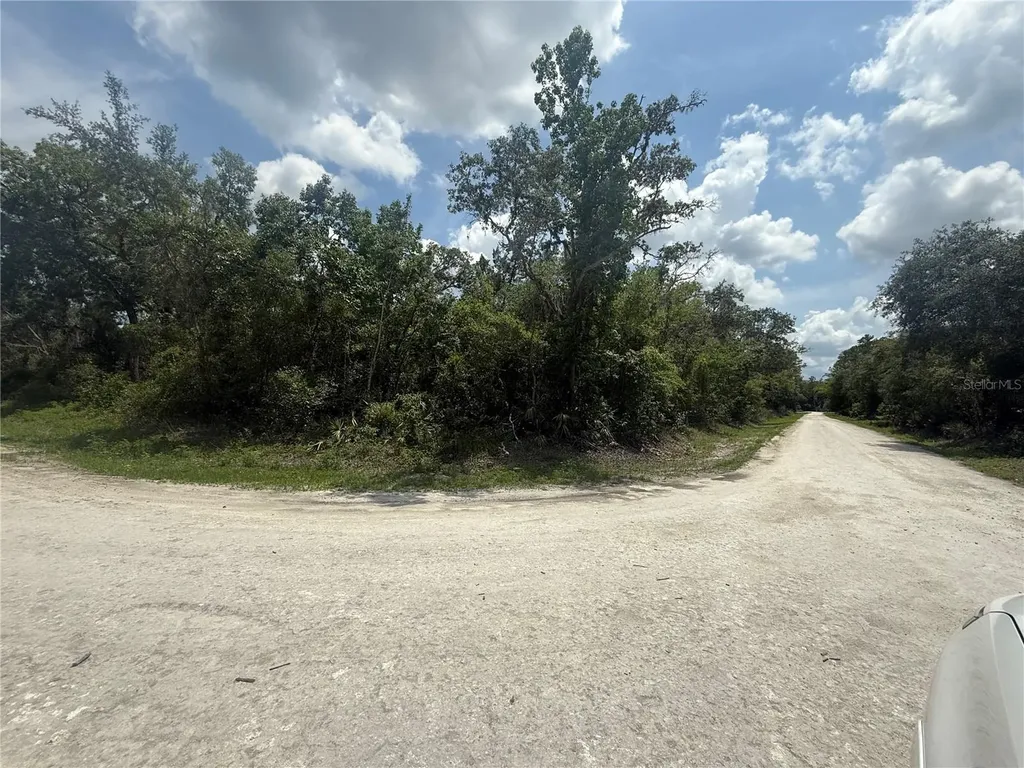 7419 Southeast Avenue Webster FL 33597