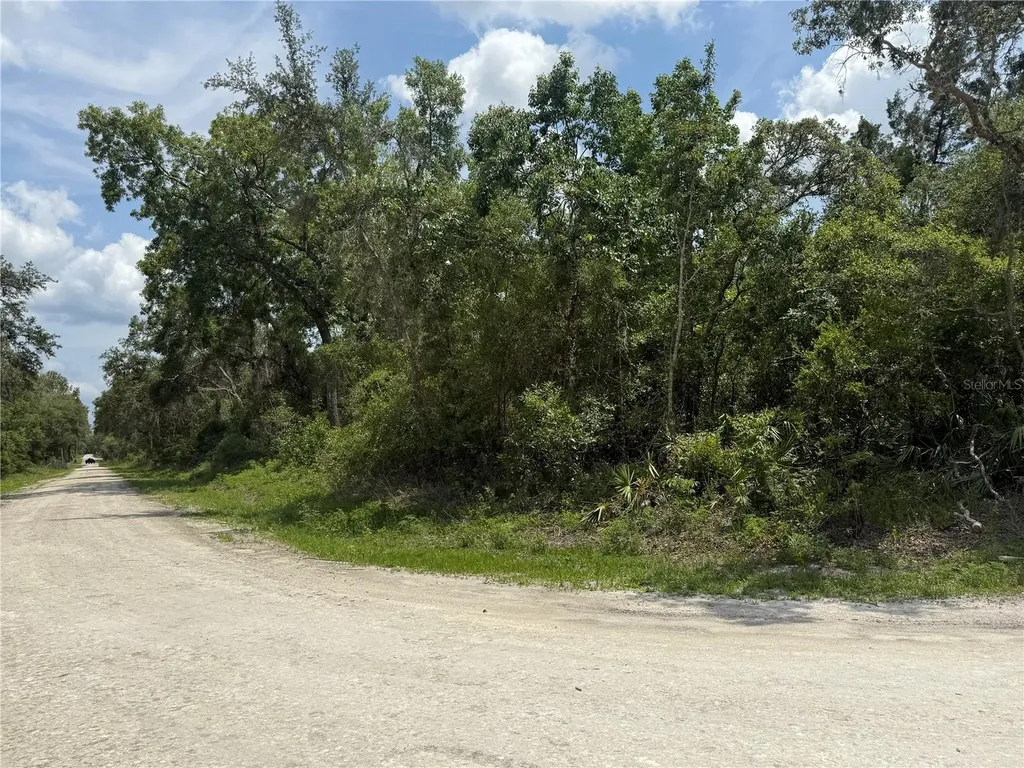 7419 Southeast Avenue Webster FL 33597