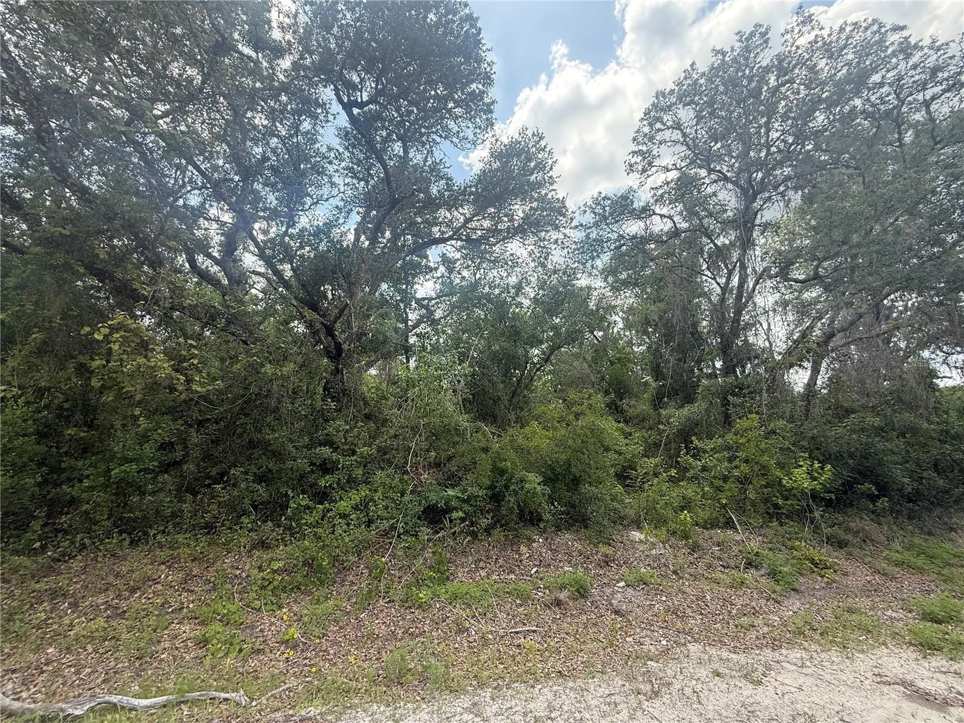 7419 Southeast Avenue Webster FL 33597