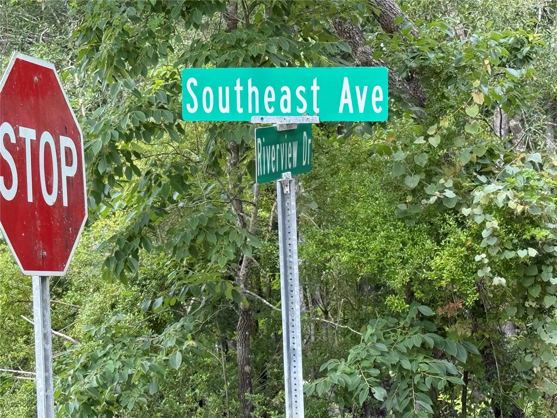 7419 Southeast Avenue Webster FL 33597