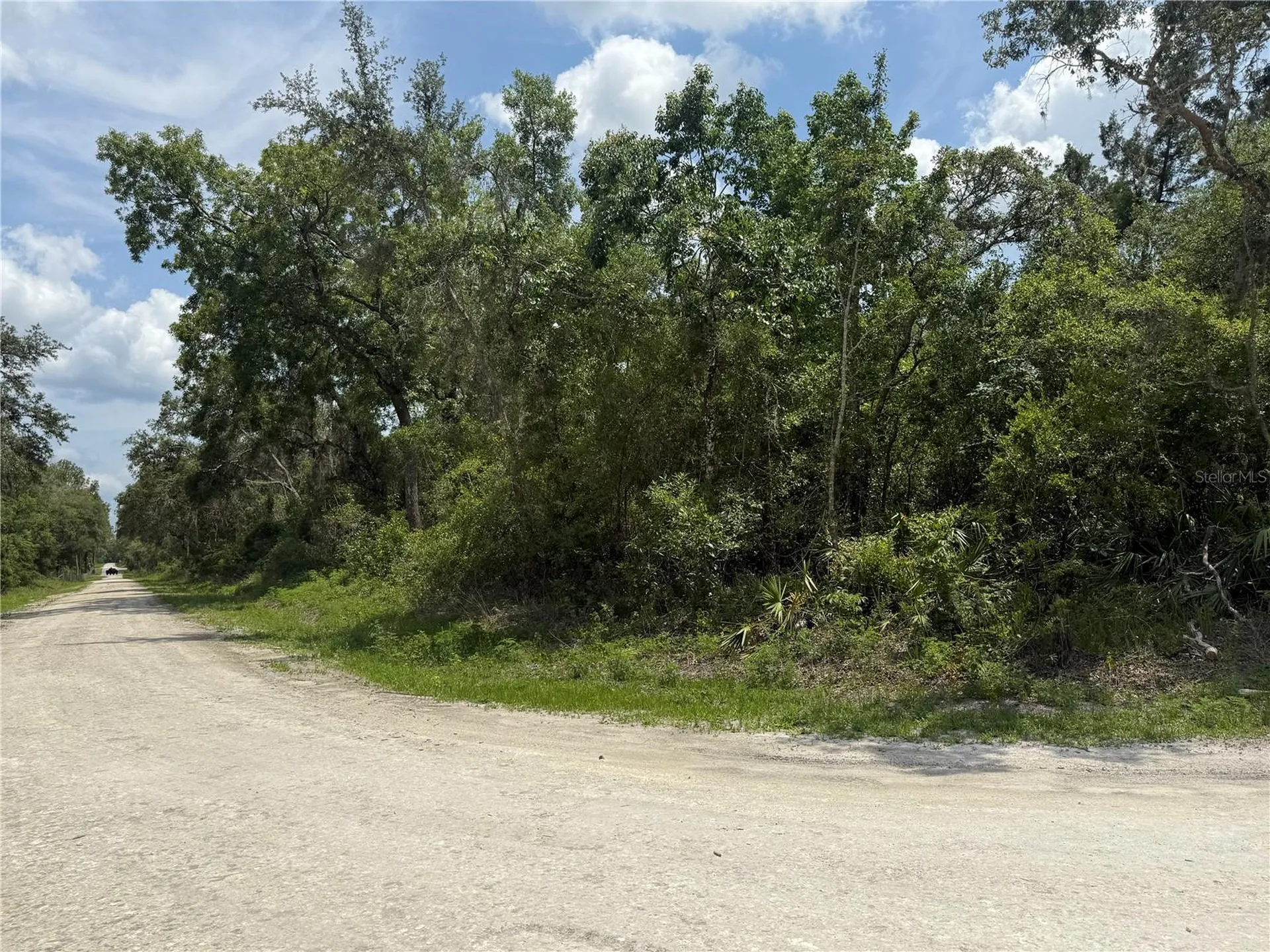 7419 Southeast Avenue Webster FL 33597