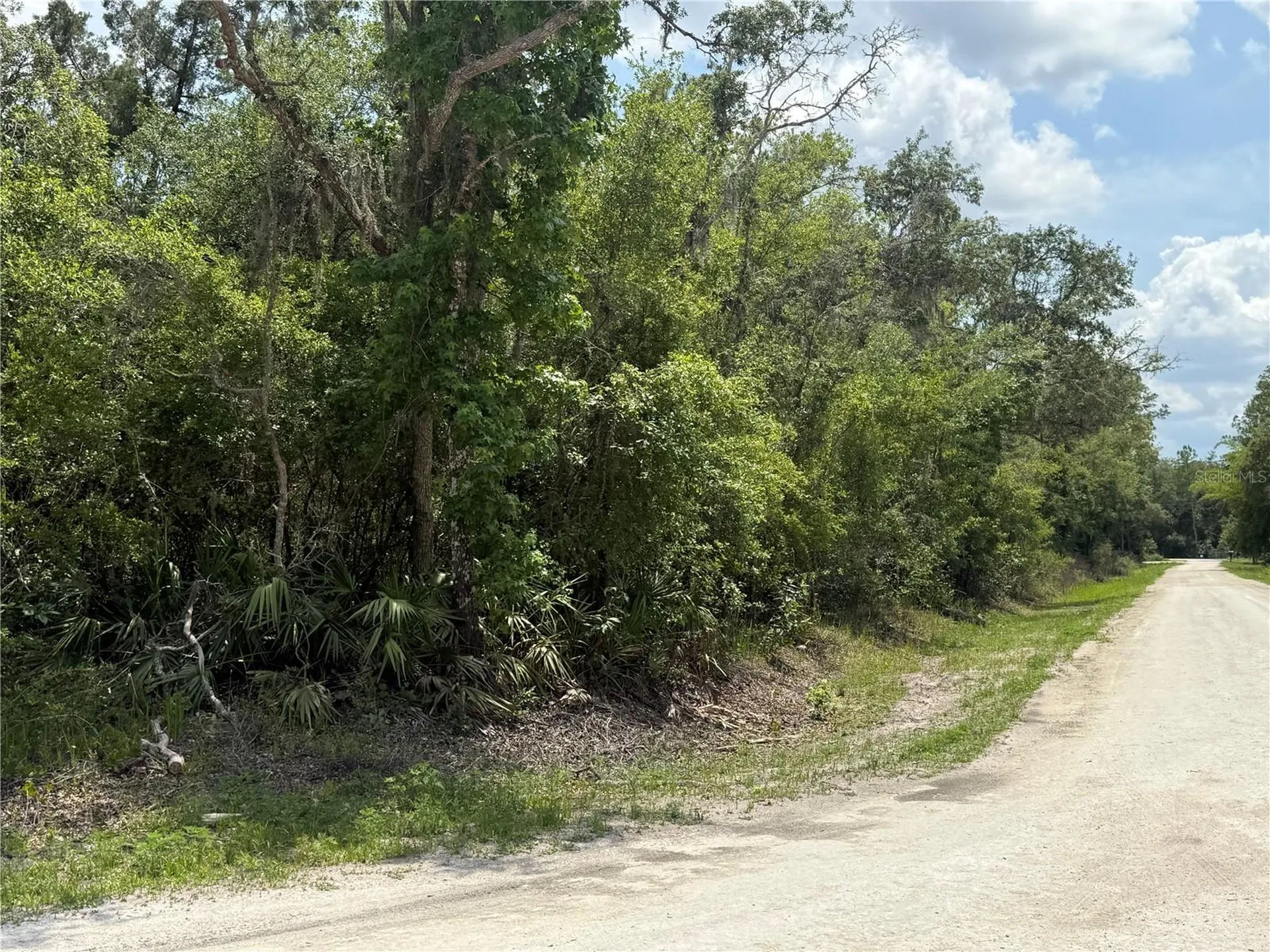 7419 Southeast Avenue Webster FL 33597