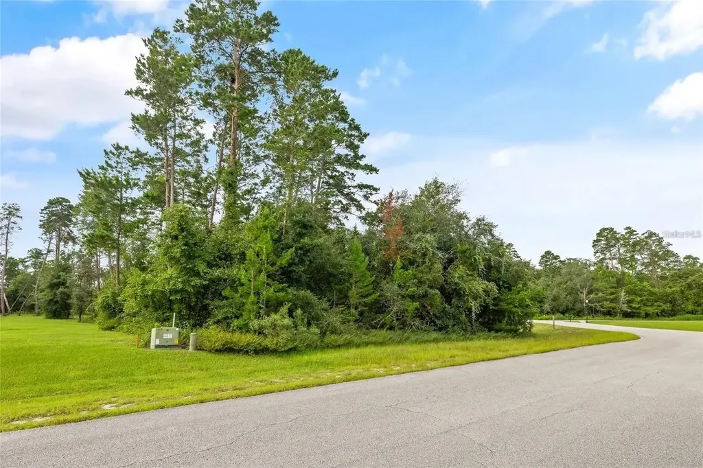13615 Gopher Pond Court Hudson FL 34669