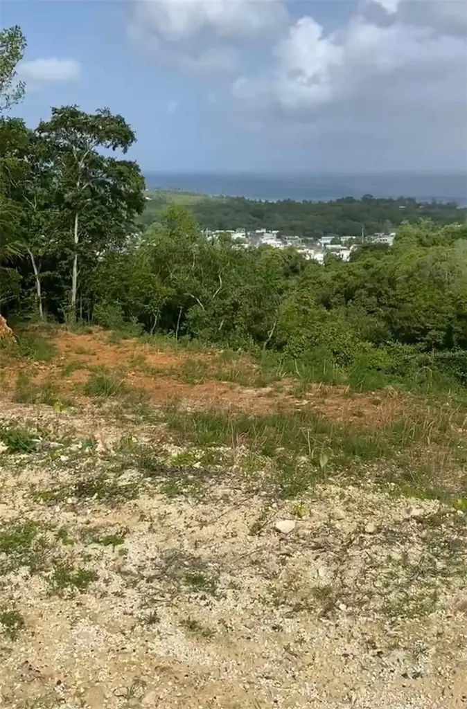 #2 Calle Lynn Aguadilla PR 00603