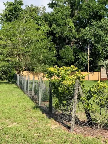 5030 NE 143rd Avenue Williston FL 32696