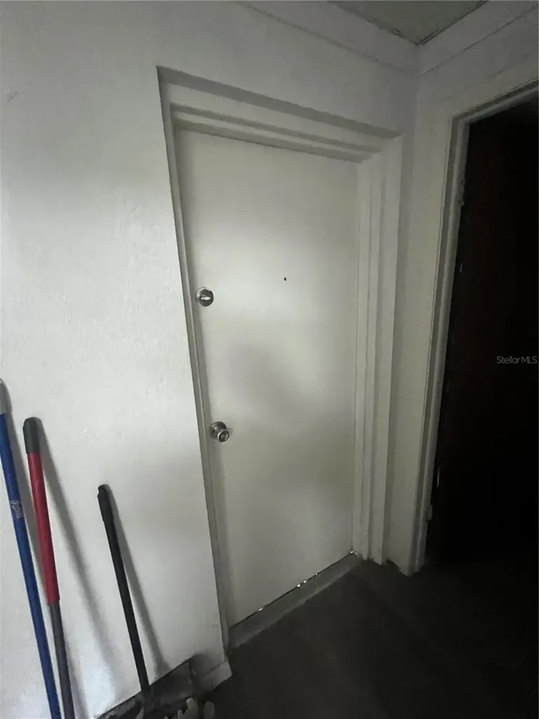 4819 E Busch Boulevard Tampa FL 33617