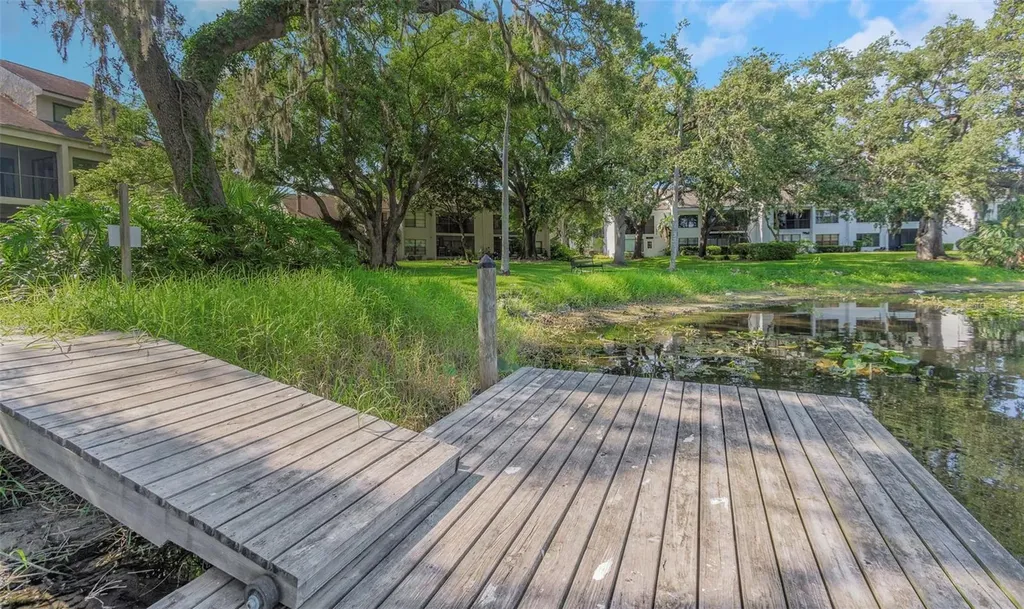 5151 Puritan Circle Tampa FL 33617