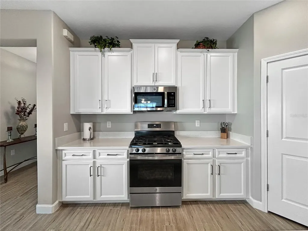 16913 Anchor Root Street Wimauma FL 33598