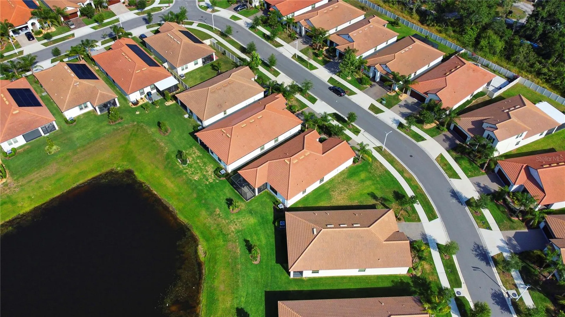 16913 Anchor Root Street Wimauma FL 33598