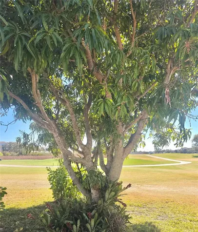 834 Springwood Circle Bradenton FL 34212