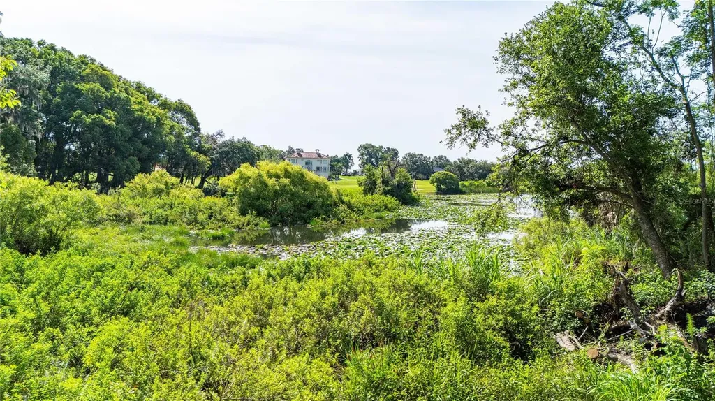12920 Ventana Court Dade City FL 33523